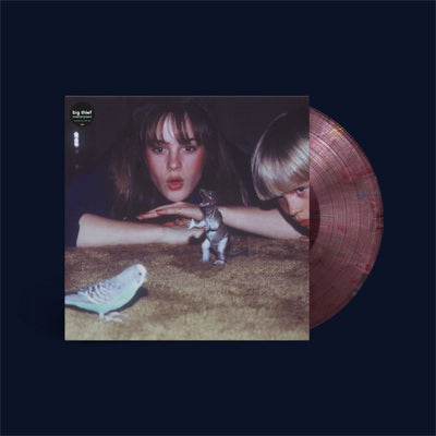 Big Thief - Masterpiece (Limited Edition Eco Coloured Vinyl)