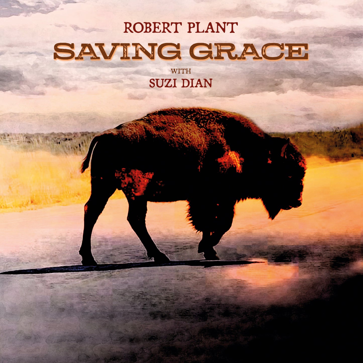 Robert Plant "Saving Grace" LP (Indie Exclusive Fruit Punch Vinyl)