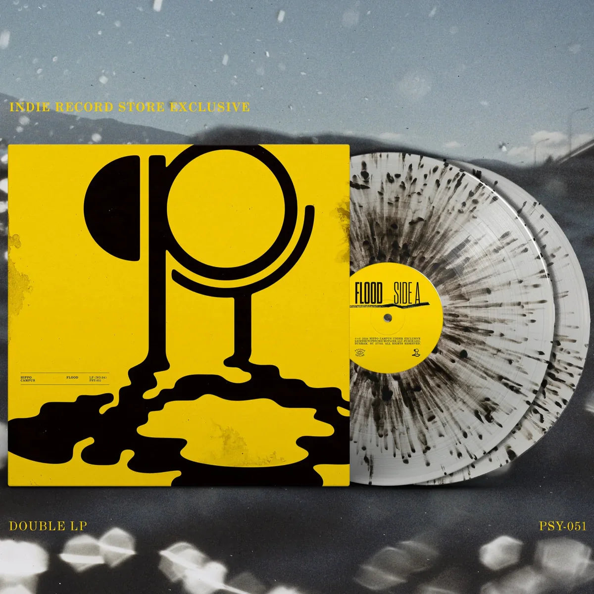 Hippo Campus "Flood" 2xLP (Indie Exclusive Clear Galaxy Vinyl)